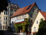 Weinreben in der Winkelgasse