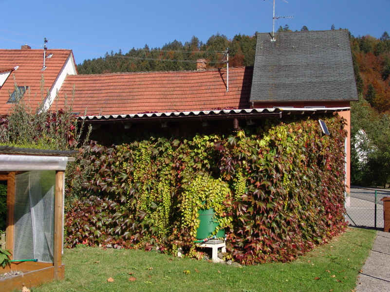 Gartenstimmung am Krhenbach