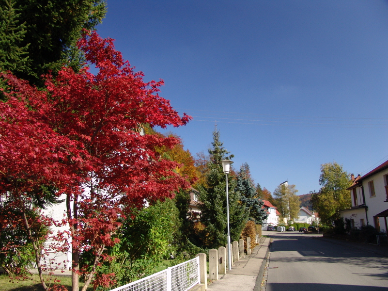 Klingenbergstrae
