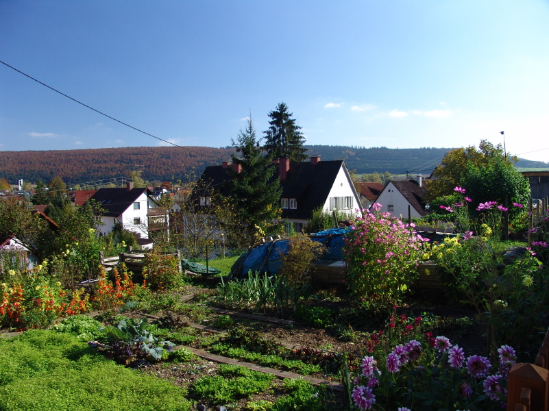 Mettenbergstrae