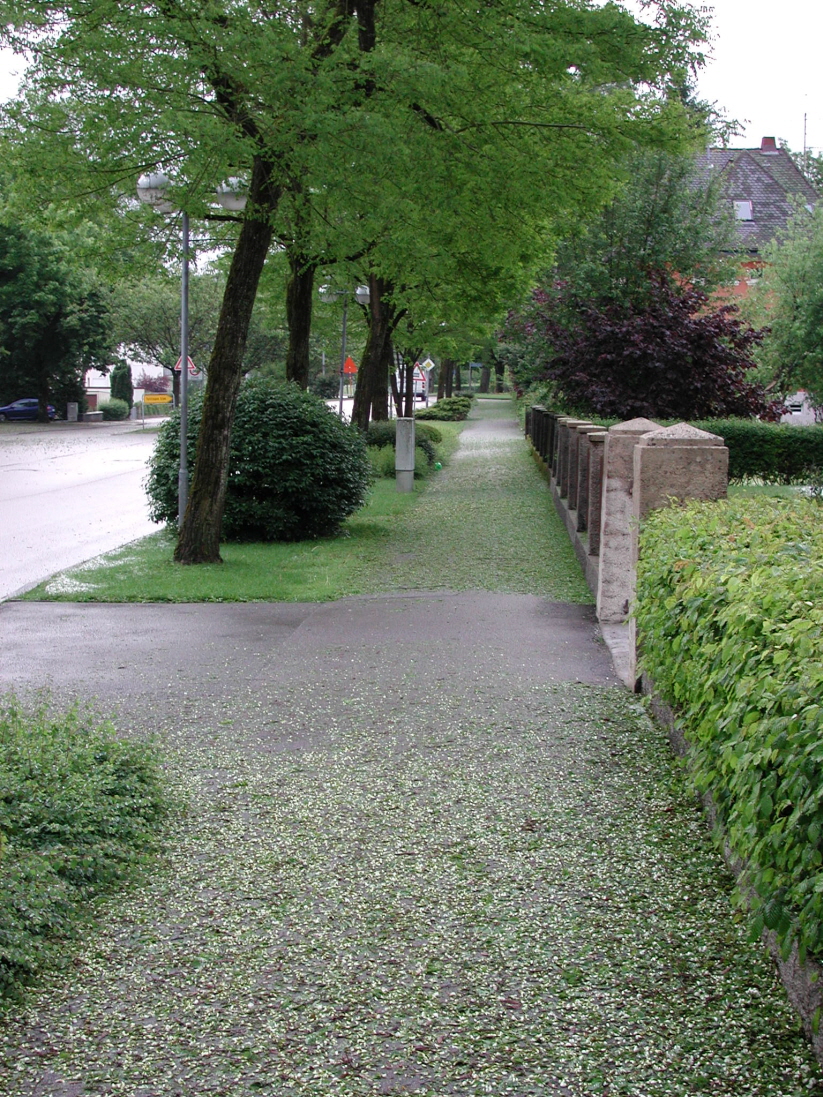 Gehweg Bischofszellerstr.