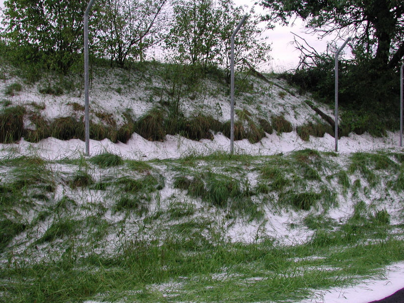 Bschung am Lokschuppen