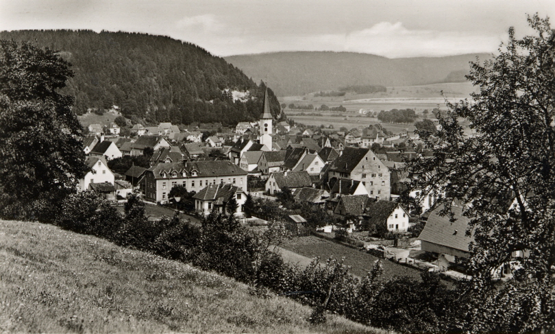 Blick von der "Burg" um 1950