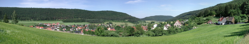 Blick auf Elingen