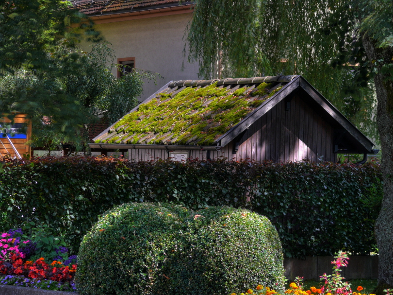 Idyllisches Gartenh�uschen beim Rathaus