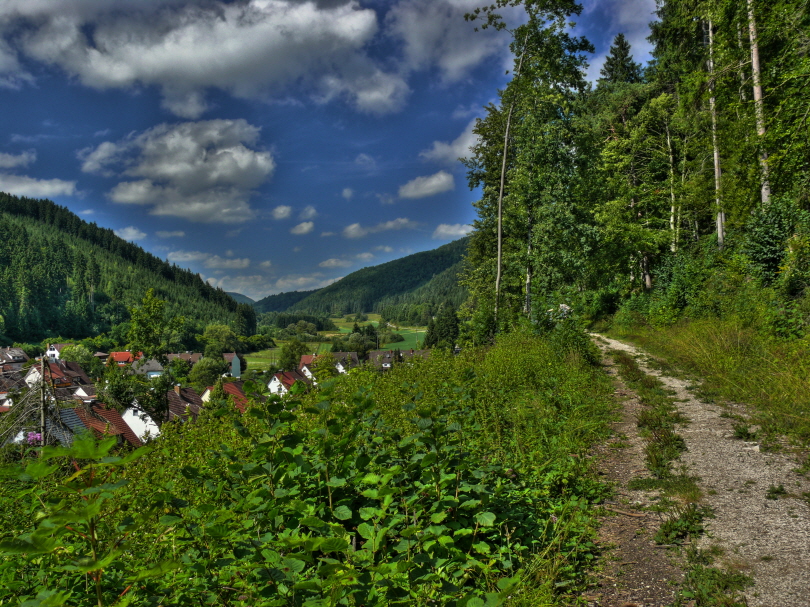 Oberhalb vom B�chetal