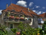 Gartenidylle