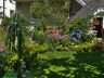Gartenidylle