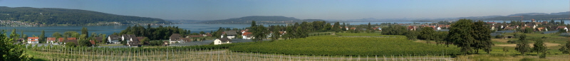 Ausblick von der Hochwart auf der Insel Reichenau