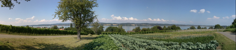 Gemsefelder auf der Insel Reichenau