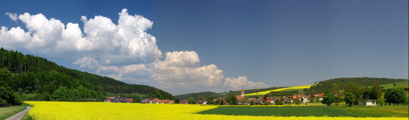 Ansicht von Aulfingen